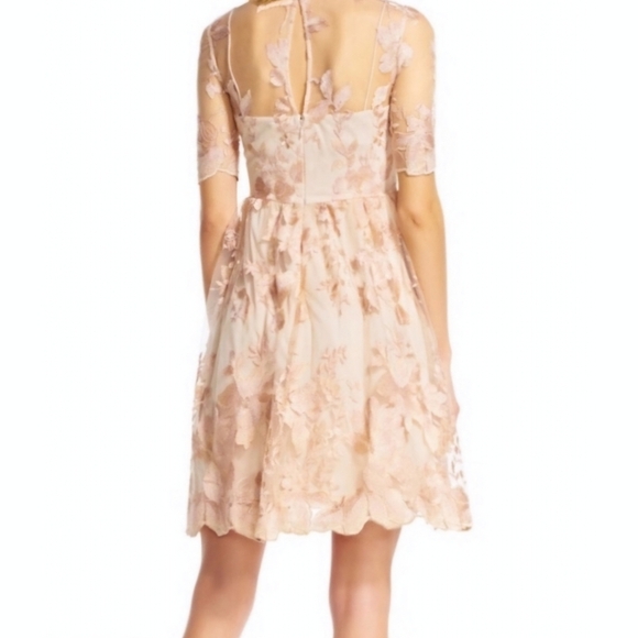 Adrianna Papell Size 12 Blush gold mesh embroidered short illusion dress New Tag - Picture 2 of 14